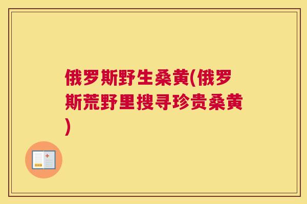 俄罗斯野生桑黄(俄罗斯荒野里搜寻珍贵桑黄) 俄罗斯野生桑黄(俄罗斯荒野里搜寻珍贵桑黄)