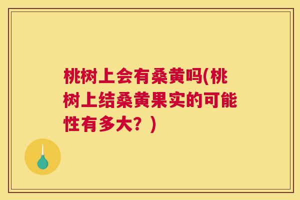 桃树上会有桑黄吗(桃树上结桑黄果实的可能性有多大?) 桃树上会有桑黄吗(桃树上结桑黄果实的可能性有多大?)