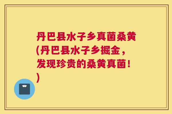 丹巴县水子乡真菌桑黄(丹巴县水子乡掘金,发现珍贵的桑黄真菌!) 丹巴县水子乡真菌桑黄(丹巴县水子乡掘金,发现珍贵的桑黄真菌!)