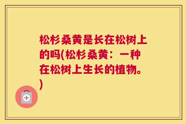 松杉桑黄是长在松树上的吗(松杉桑黄:一种在松树上生长的植物。) 松杉桑黄是长在松树上的吗(松杉桑黄:一种在松树上生长的植物。)