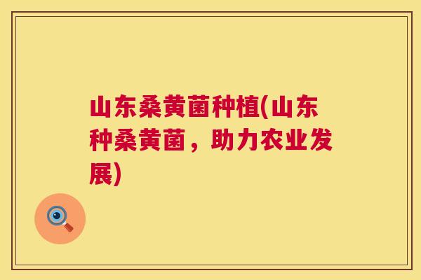 山东桑黄菌种植(山东种桑黄菌，助力农业发展)