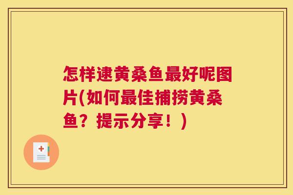 怎样逮黄桑鱼好呢图片(如何佳捕捞黄桑鱼?提示分享!) 怎样逮黄桑鱼好呢图片(如何佳捕捞黄桑鱼?提示分享!)