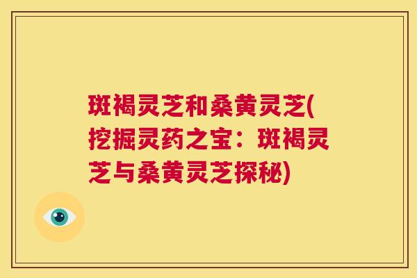 斑褐灵芝和桑黄灵芝(挖掘灵药之宝:斑褐灵芝与桑黄灵芝探秘) 斑褐灵芝和桑黄灵芝(挖掘灵药之宝:斑褐灵芝与桑黄灵芝探秘)