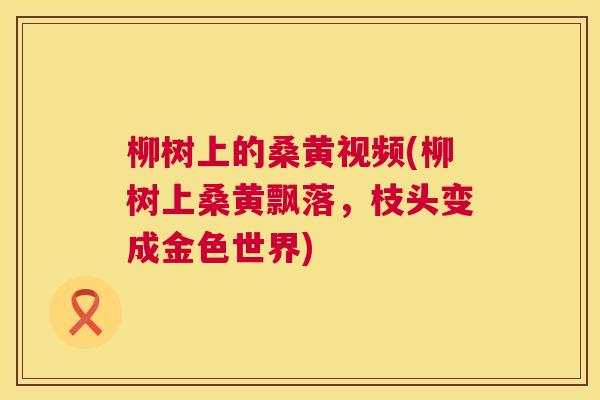 柳树上的桑黄视频(柳树上桑黄飘落,枝头变成金色世界) 柳树上的桑黄视频(柳树上桑黄飘落,枝头变成金色世界)