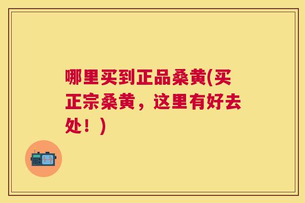 哪里买到正品桑黄(买正宗桑黄,这里有好去处!) 哪里买到正品桑黄(买正宗桑黄,这里有好去处!)