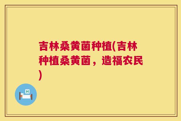 吉林桑黄菌种植(吉林种植桑黄菌,造福农民) 吉林桑黄菌种植(吉林种植桑黄菌,造福农民)