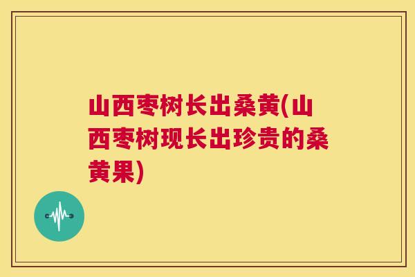 山西枣树长出桑黄(山西枣树现长出珍贵的桑黄果) 山西枣树长出桑黄(山西枣树现长出珍贵的桑黄果)
