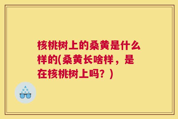 核桃树上的桑黄是什么样的(桑黄长啥样,是在核桃树上吗?) 核桃树上的桑黄是什么样的(桑黄长啥样,是在核桃树上吗?)