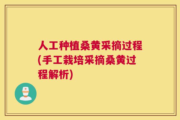 人工种植桑黄采摘过程(手工栽培采摘桑黄过程解析) 人工种植桑黄采摘过程(手工栽培采摘桑黄过程解析)