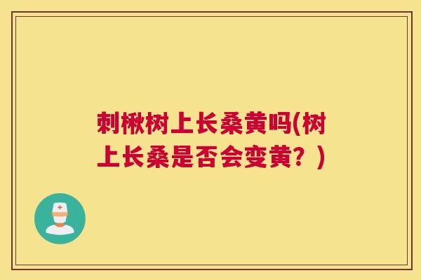 刺楸树上长桑黄吗(树上长桑是否会变黄?) 刺楸树上长桑黄吗(树上长桑是否会变黄?)