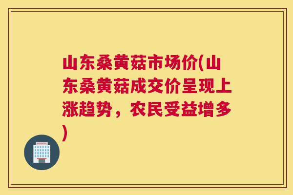 山东桑黄菇市场价(山东桑黄菇成交价呈现上涨趋势，农民受益增多)