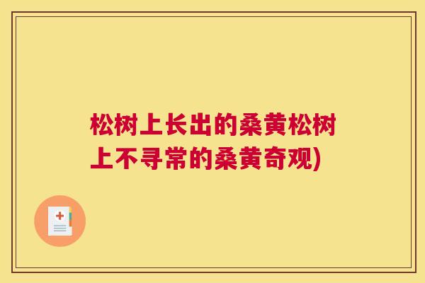 松树上长出的桑黄松树上不寻常的桑黄奇观) 松树上长出的桑黄松树上不寻常的桑黄奇观)