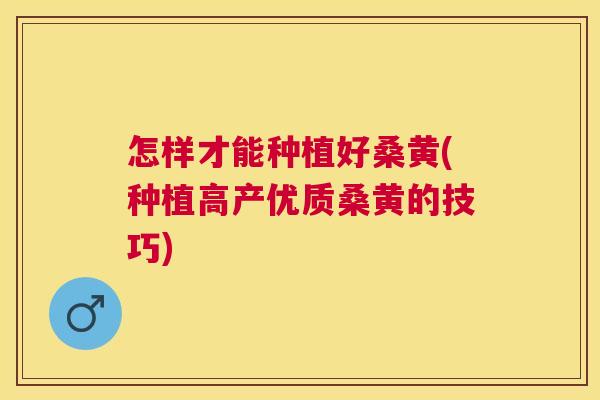 怎样才能种植好桑黄(种植高产优质桑黄的技巧) 怎样才能种植好桑黄(种植高产优质桑黄的技巧)