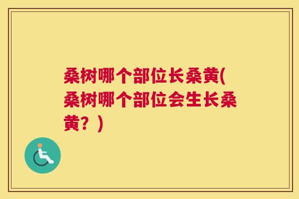 桑树哪个部位长桑黄(桑树哪个部位会生长桑黄?) 桑树哪个部位长桑黄(桑树哪个部位会生长桑黄?)