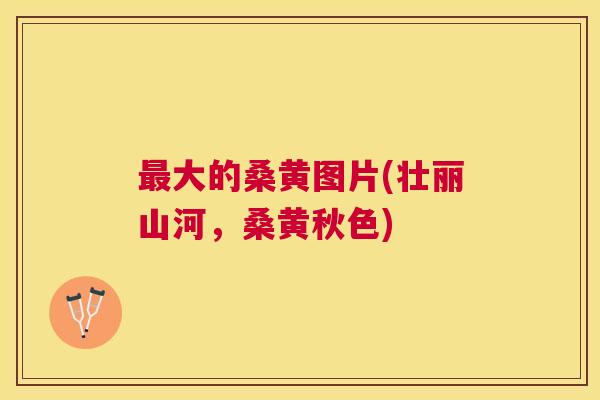 大的桑黄图片(壮丽山河,桑黄秋色) 大的桑黄图片(壮丽山河,桑黄秋色)