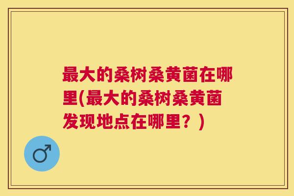 大的桑树桑黄菌在哪里(大的桑树桑黄菌发现地点在哪里?) 大的桑树桑黄菌在哪里(大的桑树桑黄菌发现地点在哪里?)