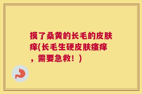 摸了桑黄的长毛的痒(长毛生硬,需要急救!) 摸了桑黄的长毛的痒(长毛生硬,需要急救!)