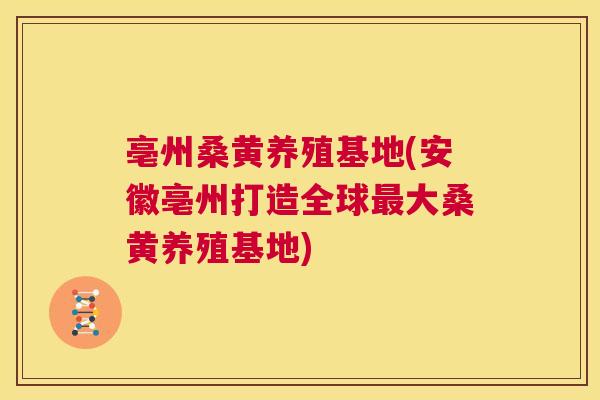 亳州桑黄养殖基地(安徽亳州打造全球大桑黄养殖基地) 亳州桑黄养殖基地(安徽亳州打造全球大桑黄养殖基地)