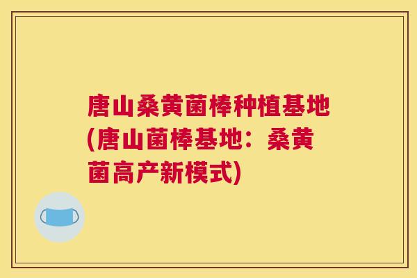 唐山桑黄菌棒种植基地(唐山菌棒基地:桑黄菌高产新模式) 唐山桑黄菌棒种植基地(唐山菌棒基地:桑黄菌高产新模式)