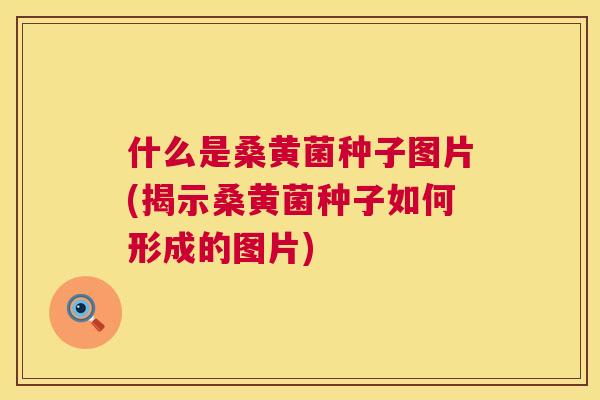 什么是桑黄菌种子图片(揭示桑黄菌种子如何形成的图片)