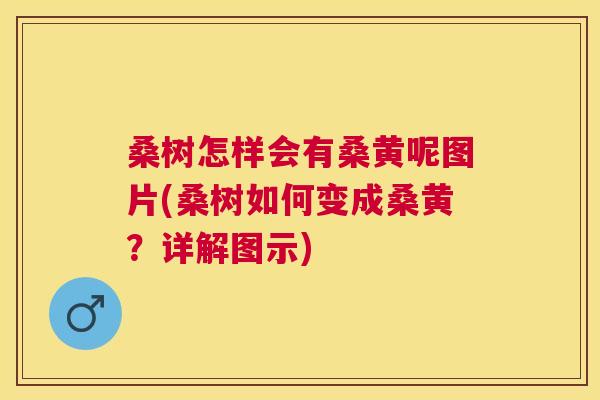 桑树怎样会有桑黄呢图片(桑树如何变成桑黄?详解图示) 桑树怎样会有桑黄呢图片(桑树如何变成桑黄?详解图示)