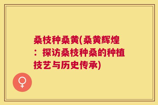 桑枝种桑黄(桑黄辉煌:探访桑枝种桑的种植技艺与历史传承) 桑枝种桑黄(桑黄辉煌:探访桑枝种桑的种植技艺与历史传承)