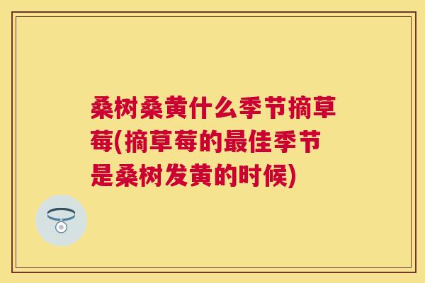 桑树桑黄什么季节摘草莓(摘草莓的佳季节是桑树发黄的时候) 桑树桑黄什么季节摘草莓(摘草莓的佳季节是桑树发黄的时候)