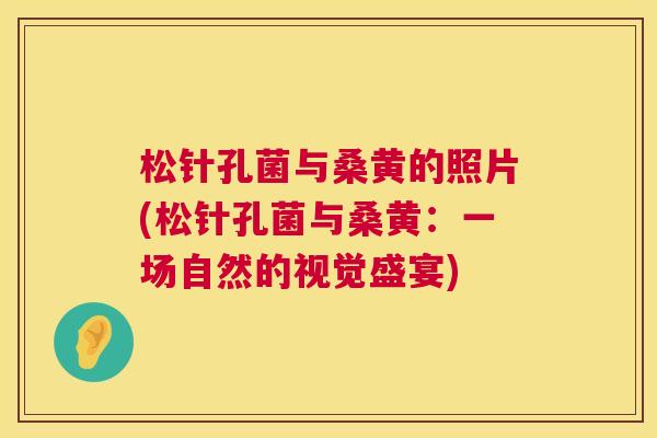 松针孔菌与桑黄的照片(松针孔菌与桑黄:一场自然的视觉盛宴) 松针孔菌与桑黄的照片(松针孔菌与桑黄:一场自然的视觉盛宴)