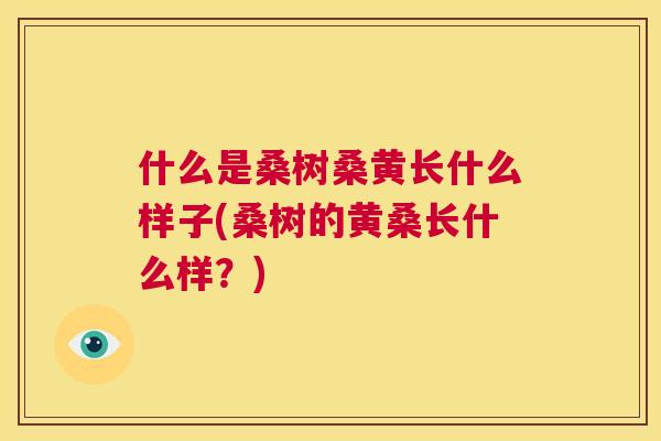 什么是桑树桑黄长什么样子(桑树的黄桑长什么样?) 什么是桑树桑黄长什么样子(桑树的黄桑长什么样?)