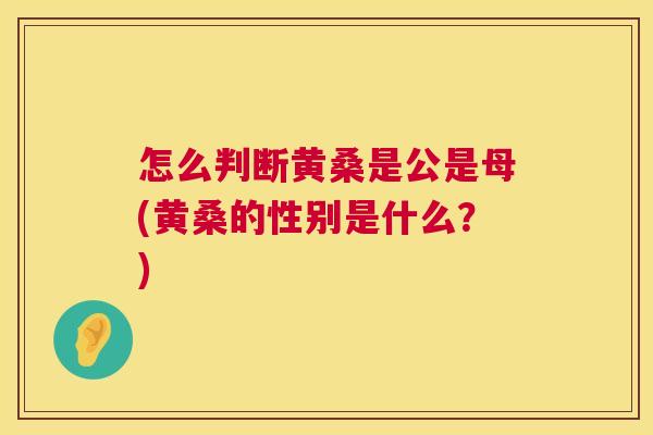 怎么判断黄桑是公是母(黄桑的性别是什么?) 怎么判断黄桑是公是母(黄桑的性别是什么?)