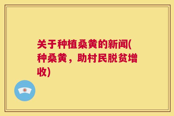 关于种植桑黄的新闻(种桑黄,助村民脱贫增收) 关于种植桑黄的新闻(种桑黄,助村民脱贫增收)