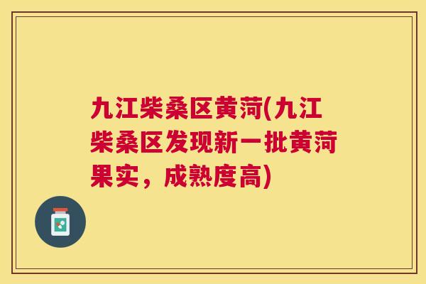 九江柴桑区黄菏(九江柴桑区发现新一批黄菏果实,成熟度高) 九江柴桑区黄菏(九江柴桑区发现新一批黄菏果实,成熟度高)