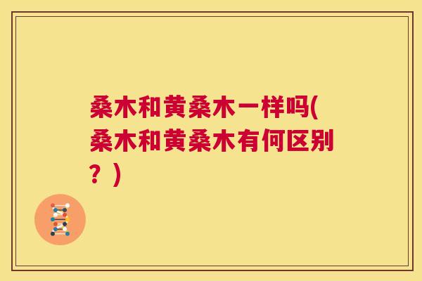 桑木和黄桑木一样吗(桑木和黄桑木有何区别？)