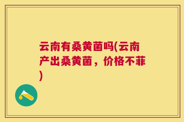 云南有桑黄菌吗(云南产出桑黄菌,价格不菲) 云南有桑黄菌吗(云南产出桑黄菌,价格不菲)