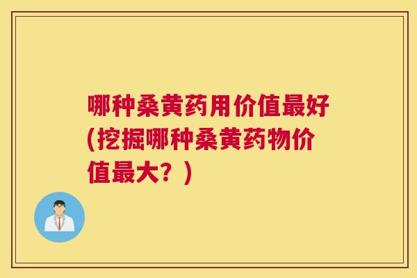 哪种桑黄药用价值好(挖掘哪种桑黄价值大?) 哪种桑黄药用价值好(挖掘哪种桑黄价值大?)