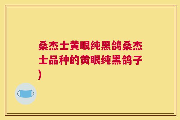 桑杰士黄眼纯黑鸽桑杰士品种的黄眼纯黑鸽子) 桑杰士黄眼纯黑鸽桑杰士品种的黄眼纯黑鸽子)