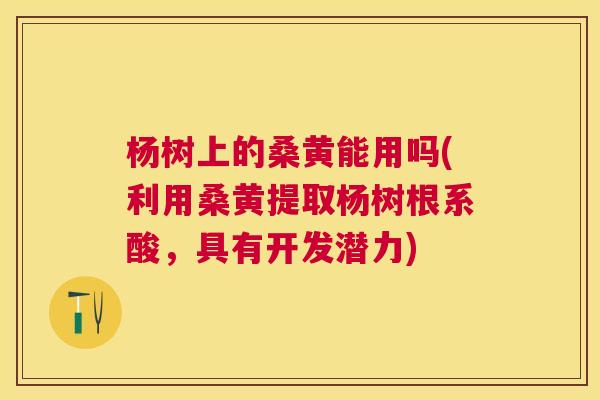 杨树上的桑黄能用吗(利用桑黄提取杨树根系酸,具有开发潜力) 杨树上的桑黄能用吗(利用桑黄提取杨树根系酸,具有开发潜力)
