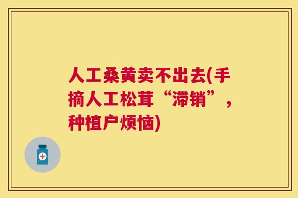 人工桑黄卖不出去(手摘人工松茸“滞销”,种植户烦恼) 人工桑黄卖不出去(手摘人工松茸“滞销”,种植户烦恼)