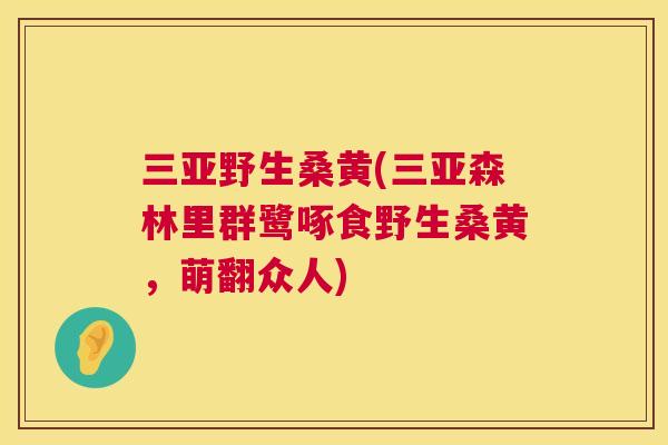 三亚野生桑黄(三亚森林里群鹭啄食野生桑黄,萌翻众人) 三亚野生桑黄(三亚森林里群鹭啄食野生桑黄,萌翻众人)