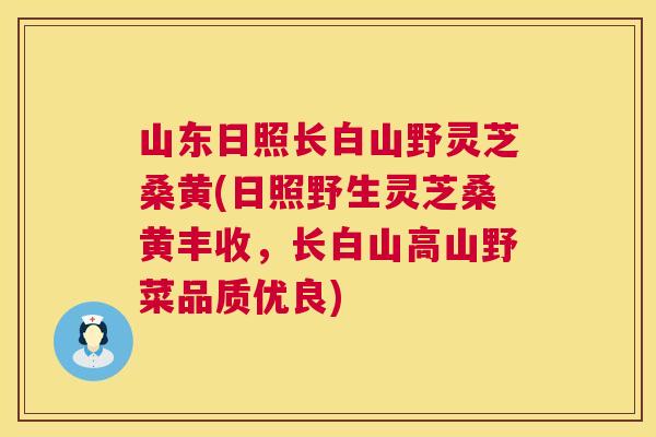 山东日照长白山野灵芝桑黄(日照野生灵芝桑黄丰收,长白山高山野菜品质优良) 山东日照长白山野灵芝桑黄(日照野生灵芝桑黄丰收,长白山高山野菜品质优良)