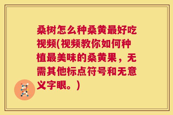 桑树怎么种桑黄好吃视频(视频教你如何种植美味的桑黄果,无需其他标点符号和无意义字眼。) 桑树怎么种桑黄好吃视频(视频教你如何种植美味的桑黄果,无需其他标点符号和无意义字眼。)