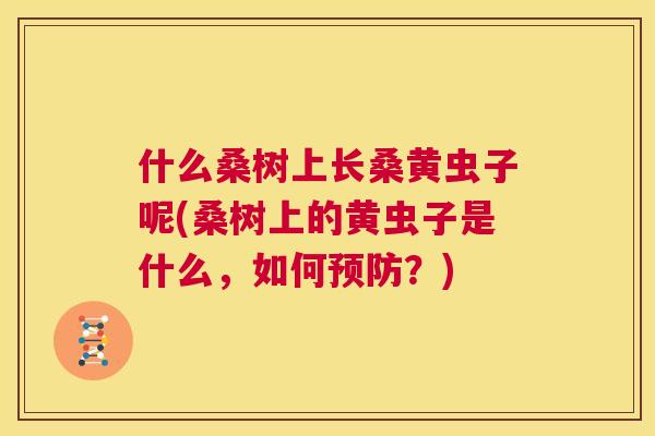 什么桑树上长桑黄虫子呢(桑树上的黄虫子是什么,如何?) 什么桑树上长桑黄虫子呢(桑树上的黄虫子是什么,如何?)