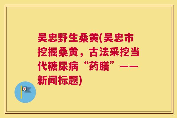 吴忠野生桑黄(吴忠市挖掘桑黄，古法采挖当代“药膳”——新闻标题)