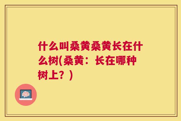 什么叫桑黄桑黄长在什么树(桑黄:长在哪种树上?) 什么叫桑黄桑黄长在什么树(桑黄:长在哪种树上?)