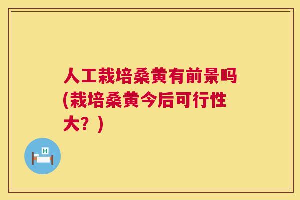 人工栽培桑黄有前景吗(栽培桑黄今后可行性大？)