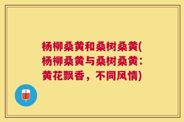 杨柳桑黄和桑树桑黄(杨柳桑黄与桑树桑黄:黄花飘香,不同风情) 杨柳桑黄和桑树桑黄(杨柳桑黄与桑树桑黄:黄花飘香,不同风情)
