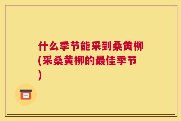 什么季节能采到桑黄柳(采桑黄柳的佳季节) 什么季节能采到桑黄柳(采桑黄柳的佳季节)