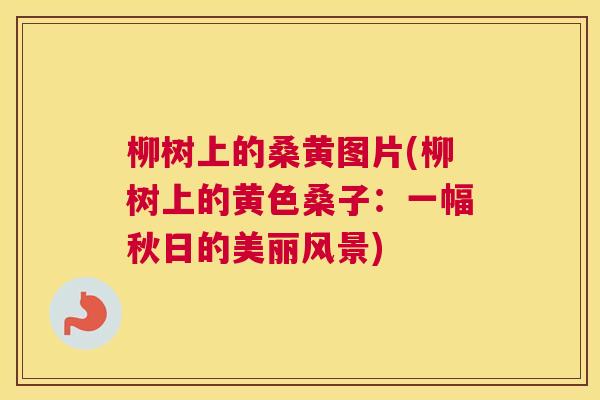 柳树上的桑黄图片(柳树上的黄色桑子:一幅秋日的美丽风景) 柳树上的桑黄图片(柳树上的黄色桑子:一幅秋日的美丽风景)
