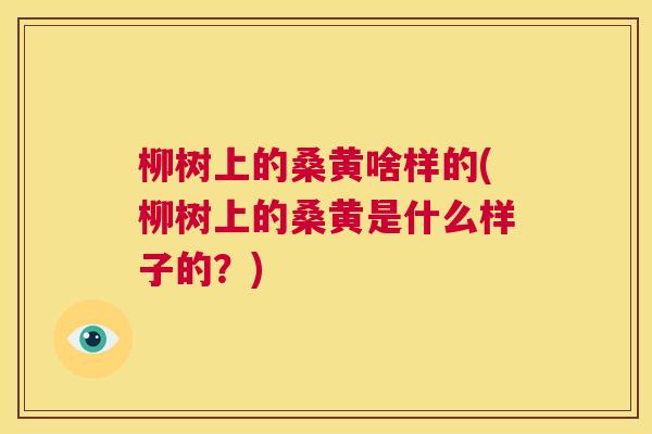 柳树上的桑黄啥样的(柳树上的桑黄是什么样子的？)