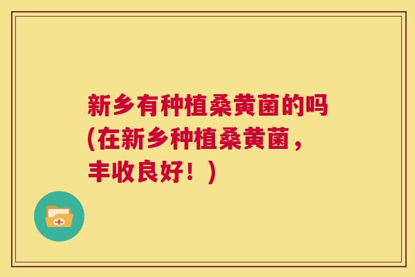 新乡有种植桑黄菌的吗(在新乡种植桑黄菌,丰收良好!) 新乡有种植桑黄菌的吗(在新乡种植桑黄菌,丰收良好!)